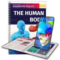 The Human Body