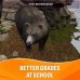 Mammals in Forests